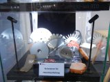 Kreismesser Fleisch