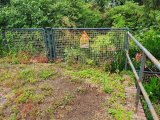 Insektenhotel und Wildblumen