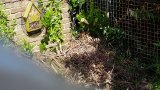 Insektenhotel und Igelplatz