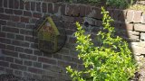 Insektenhotel und Mauerplätze